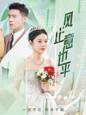 风止意也平（41集）免费看