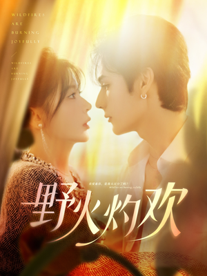 野火灼欢（61集）高分推荐免费看