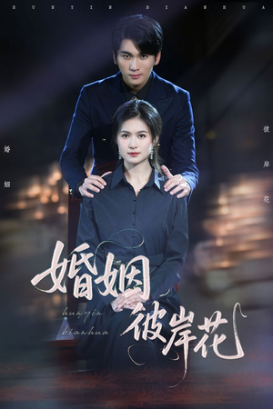 婚姻彼岸花（63集）热门短剧又来了