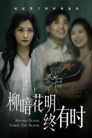 柳暗花明终有时（50集）网盘在线观看