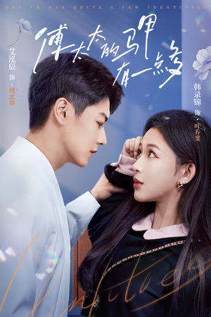 傅太太的马甲有一点多（94集）好看的短剧