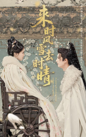 来时风雪去时晴（51集）全剧看到大结局