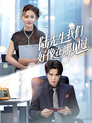 陆先生我们好像在哪见过（70集）在线看完整版