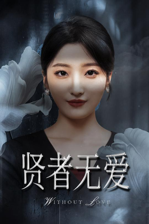 贤者无爱（42集）全集下载