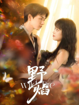 野焰（60集）短剧热门合集
