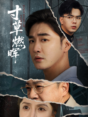 寸草燃晖（70集）热门短剧免费看