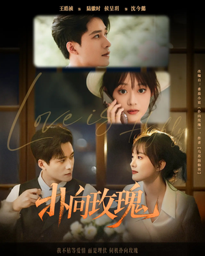 扑向玫瑰（77集）爆款短剧一起追