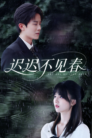 迟迟不见春（83集）古装短剧热播