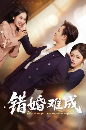 错婚难成（45集）分享热门短剧
