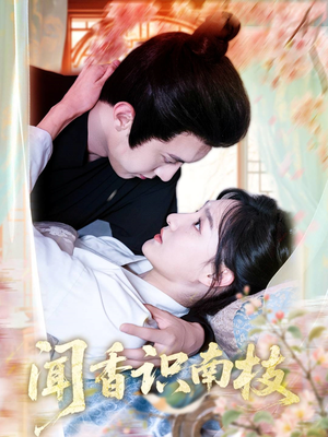 闻香识南枝（60集）经典老剧免费看