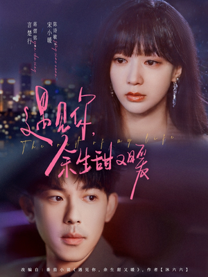 遇见你余生甜又暖（70集）解说文案