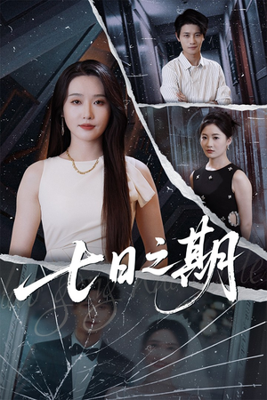 七日之期（90集）评价怎么样