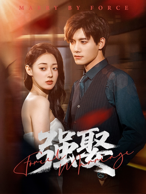 强娶（80集）热门火爆短剧