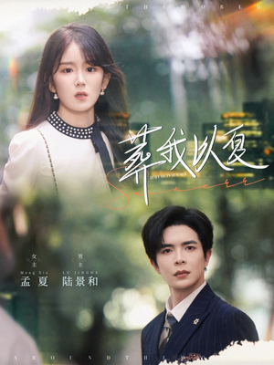 葬我以夏（73集）一口气追完全集