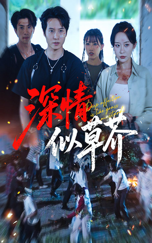 深情似草芥（51集）热播短剧免费看