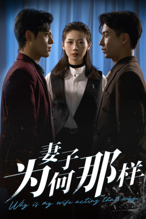 妻子为何那样（60集）热门火爆短剧