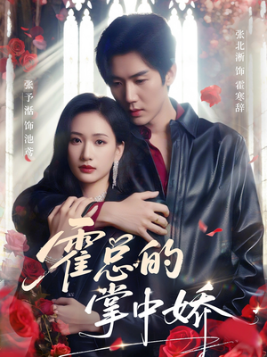 霍总的掌中娇（80集）免费观看