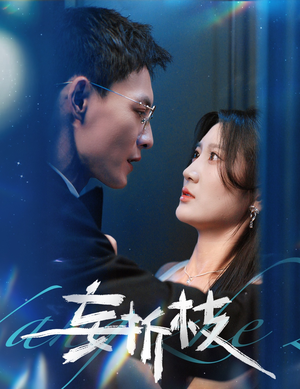 妄折枝（53集）不用花钱看全剧