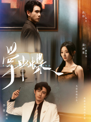 掌中蝶（84集）一口气追完短剧