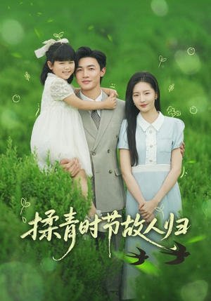 揉青时节故人归（60集）好看的短剧电影