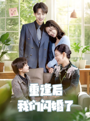 重逢后我们闪婚了（35集）在线看免费版