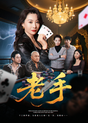 老手（36集）短剧热门推荐