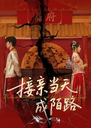 接亲当天成陌路（50集）第32集