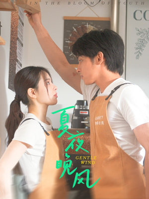 夏夜晚风（12集）好看的短剧