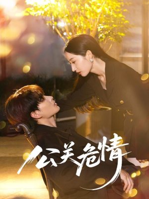 公关危情（60集）爱上了这部剧了