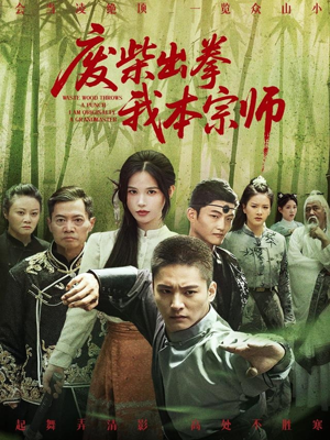 废柴出拳我本宗师（61集）精彩短剧下载