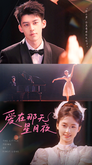 爱在那天星月夜（46集）夸克网盘在线看