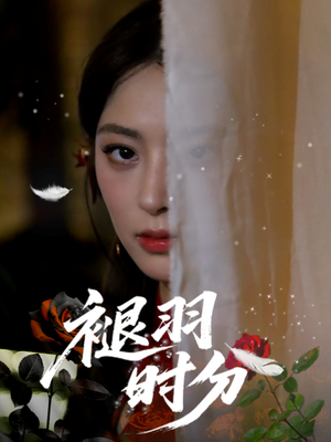 褪羽时分（61集）怎么看全集