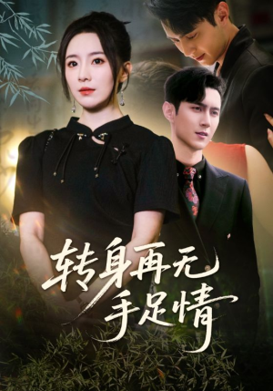 转身再无手足情（71集）短剧排行榜