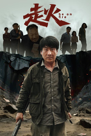 走火（60集）百度网盘在线看