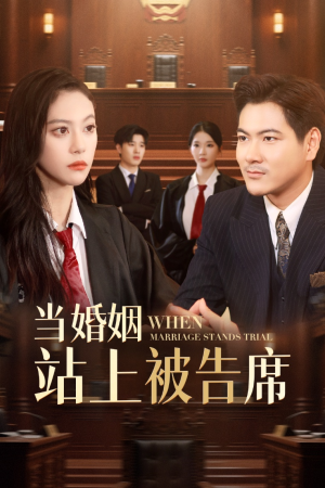 当婚姻站上被告席（30集）免费短剧完整版