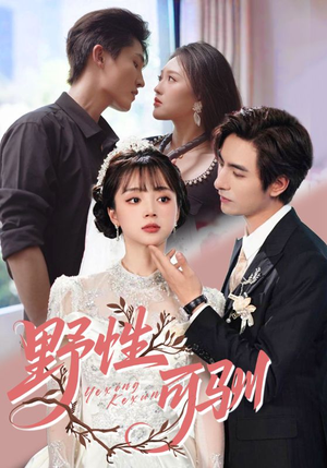 野性可驯（63集）热门短剧榜单