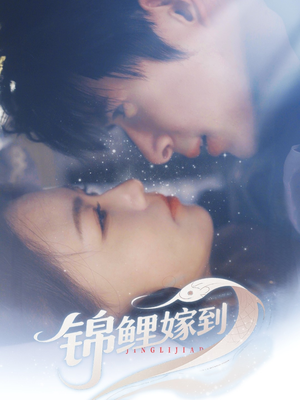 锦鲤嫁到（67集）短剧分享片段