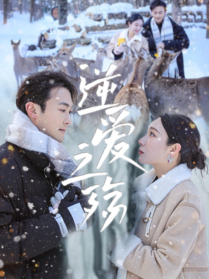 逆爱之殇（60集）第32集