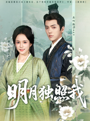 明月独照我（80集）看过的人都说好