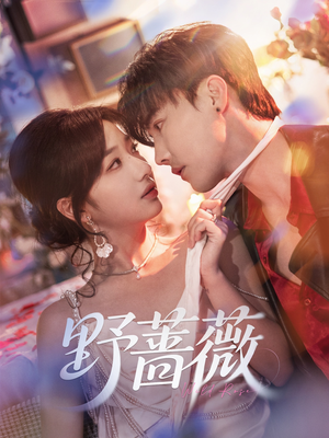 野蔷薇（60集）短剧上头又好看