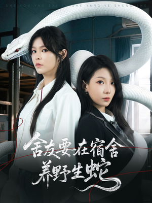 舍友要在宿舍养野生蛇（60集）热门了短剧