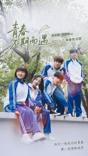 青春不期而遇（50集）热播古装短剧