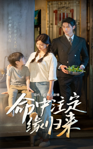 命中注定缘归来（63集）在哪看免费