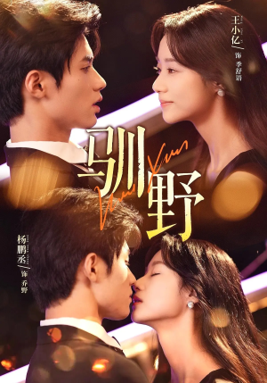 驯野（77集）短剧热播推荐