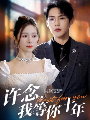 许念，我等你十年（55集）80到100集