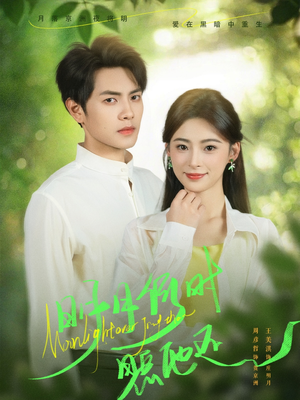 明月何时照他还（73集）精彩短剧来了