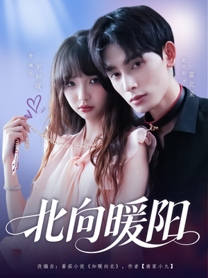 北向暖阳（80集）第一季