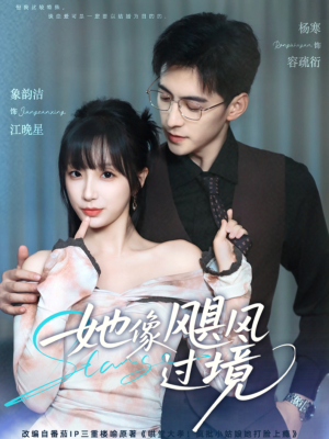 她像飓风过境（81集）视频在线看