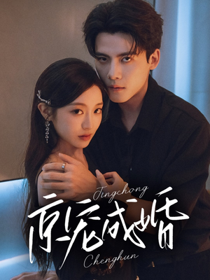 京宠成婚（79集）爆火短剧追不停