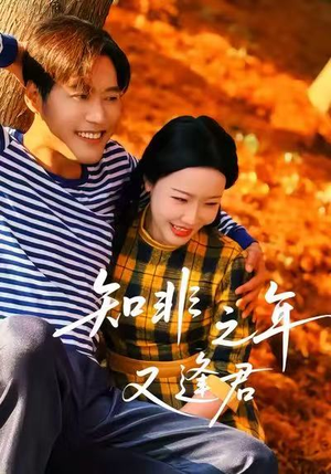 知非之年又逢君（62集）集免费看短剧
